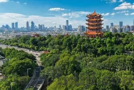av麻豆公司-AV麻豆公司的多元发展策略与行业创新