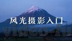 后入大奶人妻-探索情感与伦理的边界，后入大奶人妻的复杂情感世界