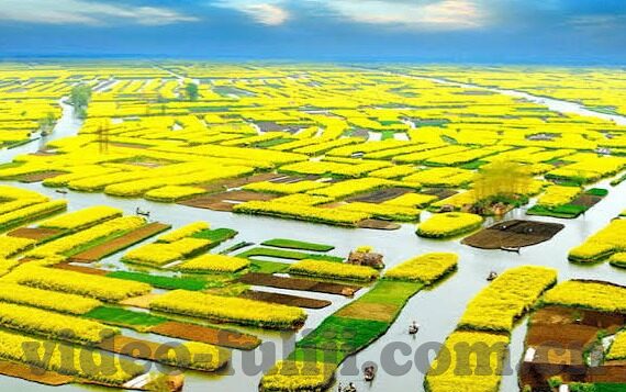 麻豆av真人在线-破晓的晨曦，麻豆AV真人在线现象的多元透视
