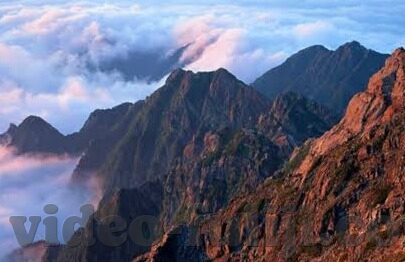 免费在线观看麻豆视频-邂逅新世界的窗口——免费在线观看麻豆视频的奇妙体验