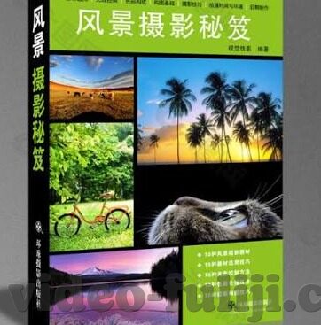 糖心视频app直播下载-解锁娱乐新体验，糖心视频直播app的便捷下载指南